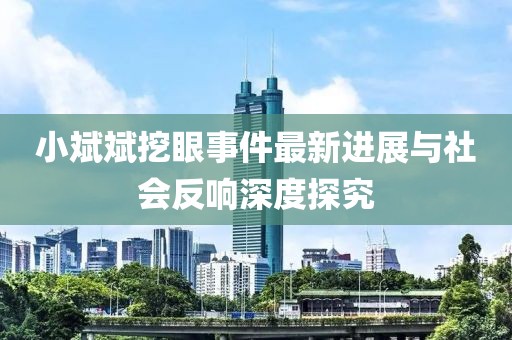 小斌斌挖眼事件最新進(jìn)展與社會(huì)反響深度探究
