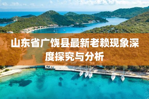 山東省廣饒縣最新老賴現(xiàn)象深度探究與分析
