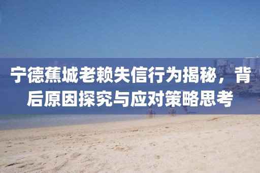 寧德蕉城老賴失信行為揭秘，背后原因探究與應(yīng)對(duì)策略思考