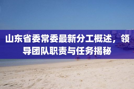 山東省委常委最新分工概述，領(lǐng)導(dǎo)團(tuán)隊(duì)職責(zé)與任務(wù)揭秘
