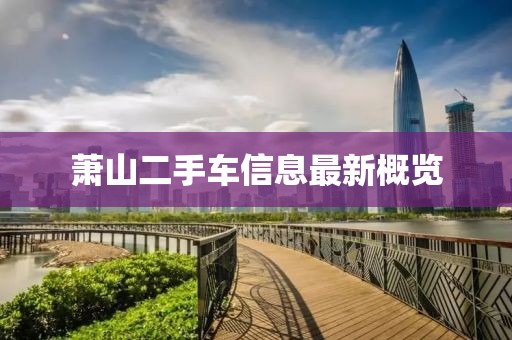 蕭山二手車信息最新概覽