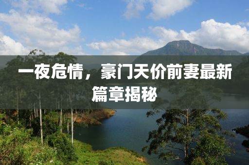 一夜危情，豪門天價(jià)前妻最新篇章揭秘