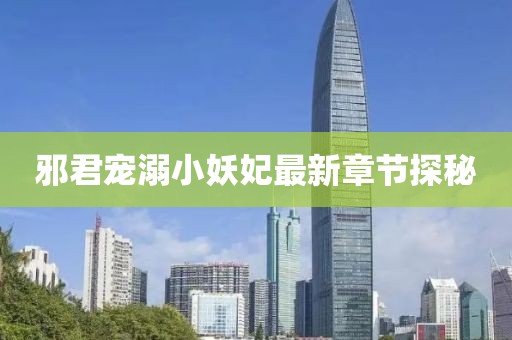 邪君寵溺小妖妃最新章節(jié)探秘