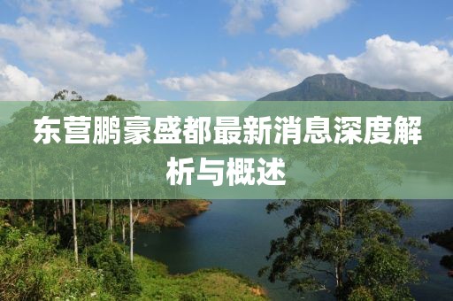 東營鵬豪盛都最新消息深度解析與概述