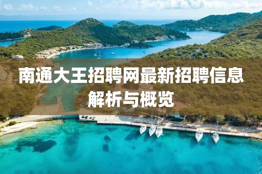南通大王招聘網最新招聘信息解析與概覽