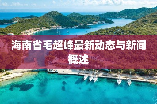 海南省毛超峰最新動(dòng)態(tài)與新聞概述