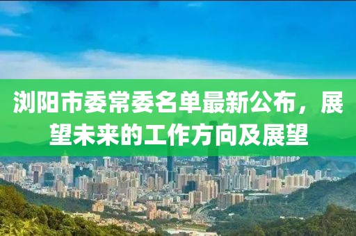 瀏陽市委常委名單最新公布，展望未來的工作方向及展望