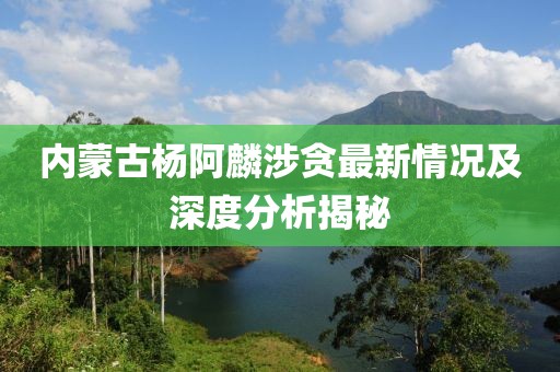 內(nèi)蒙古楊阿麟涉貪最新情況及深度分析揭秘