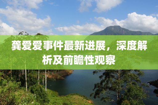 龔愛愛事件最新進(jìn)展，深度解析及前瞻性觀察