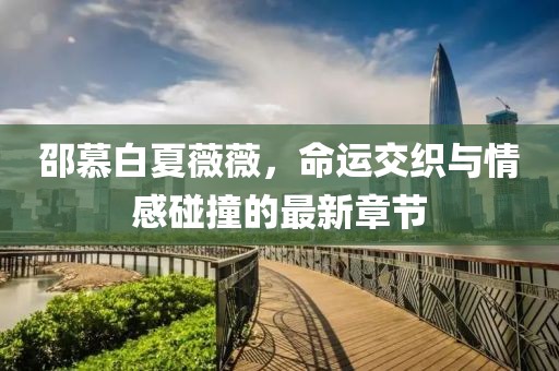 邵慕白夏薇薇，命運(yùn)交織與情感碰撞的最新章節(jié)