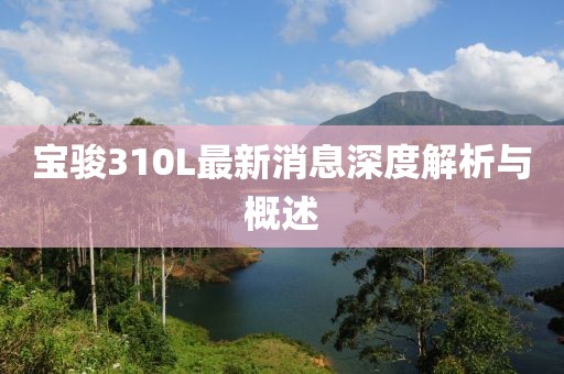 寶駿310L最新消息深度解析與概述