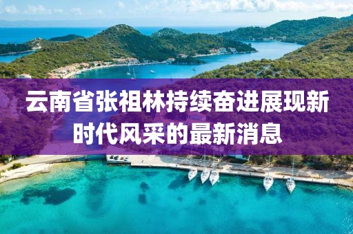云南省張祖林持續(xù)奮進(jìn)展現(xiàn)新時(shí)代風(fēng)采的最新消息