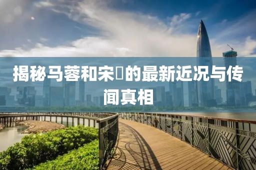 揭秘馬蓉和宋喆的最新近況與傳聞真相