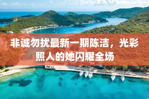 非誠勿擾最新一期陳潔，光彩照人的她閃耀全場