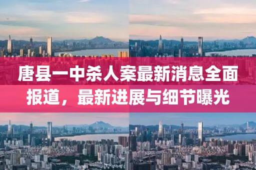 唐縣一中殺人案最新消息全面報道，最新進(jìn)展與細(xì)節(jié)曝光