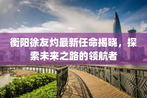 衡陽徐友灼最新任命揭曉，探索未來之路的領(lǐng)航者