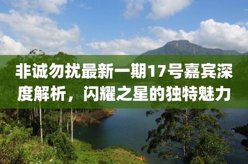 非誠勿擾最新一期17號(hào)嘉賓深度解析，閃耀之星的獨(dú)特魅力