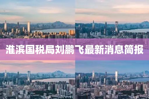 淮濱國稅局劉鵬飛最新消息簡報(bào)