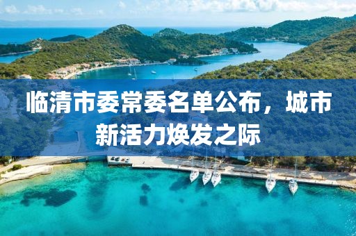 臨清市委常委名單公布，城市新活力煥發(fā)之際