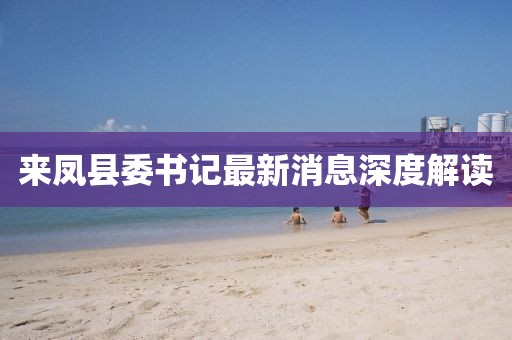 來鳳縣委書記最新消息深度解讀