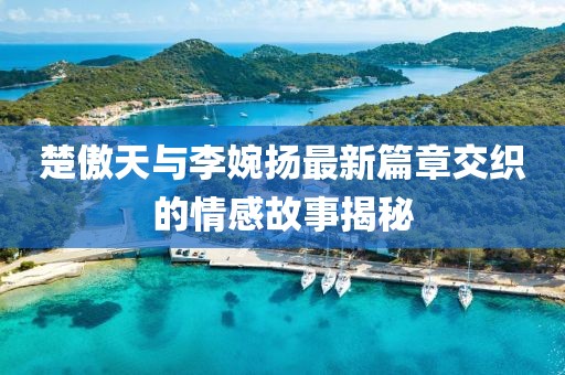 楚傲天與李婉揚(yáng)最新篇章交織的情感故事揭秘