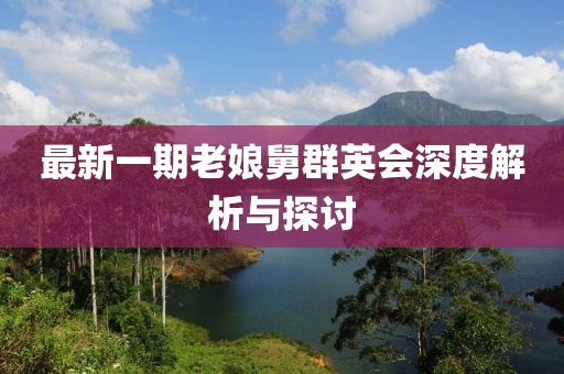 最新一期老娘舅群英會(huì)深度解析與探討