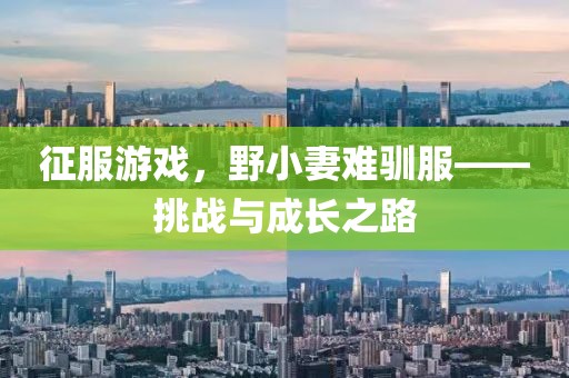 征服游戲，野小妻難馴服——挑戰(zhàn)與成長(zhǎng)之路