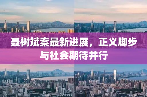 聶樹斌案最新進(jìn)展，正義腳步與社會(huì)期待并行