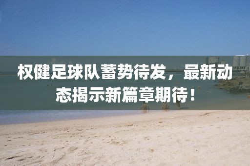 權健足球隊蓄勢待發(fā)，最新動態(tài)揭示新篇章期待！