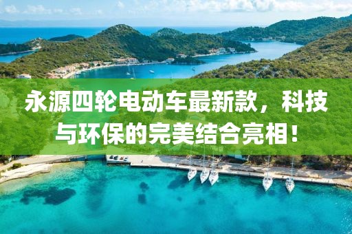 永源四輪電動車最新款，科技與環(huán)保的完美結(jié)合亮相！
