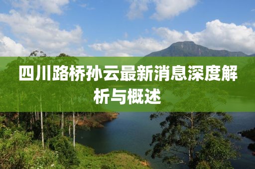 四川路橋?qū)O云最新消息深度解析與概述