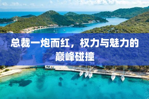 總裁一炮而紅，權(quán)力與魅力的巔峰碰撞