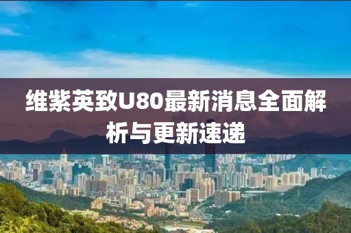 維紫英致U80最新消息全面解析與更新速遞