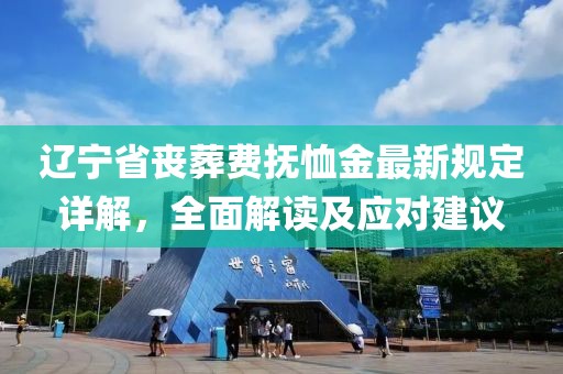 遼寧省喪葬費(fèi)撫恤金最新規(guī)定詳解，全面解讀及應(yīng)對(duì)建議