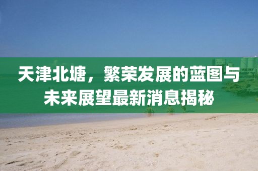天津北塘，繁榮發(fā)展的藍圖與未來展望最新消息揭秘