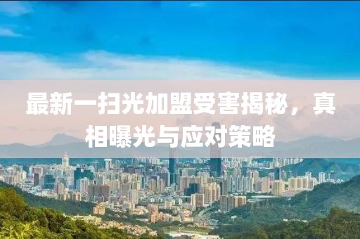 最新一掃光加盟受害揭秘，真相曝光與應(yīng)對策略