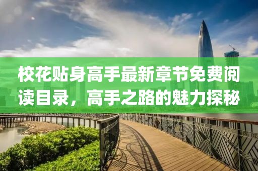 校花貼身高手最新章節(jié)免費(fèi)閱讀目錄，高手之路的魅力探秘