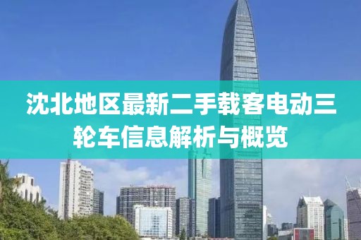 沈北地區(qū)最新二手載客電動三輪車信息解析與概覽
