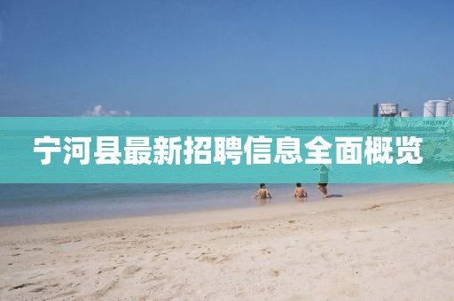 寧河縣最新招聘信息全面概覽