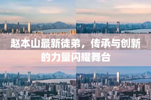 趙本山最新徒弟，傳承與創(chuàng)新的力量閃耀舞臺
