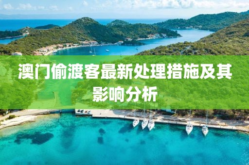 澳門偷渡客最新處理措施及其影響分析