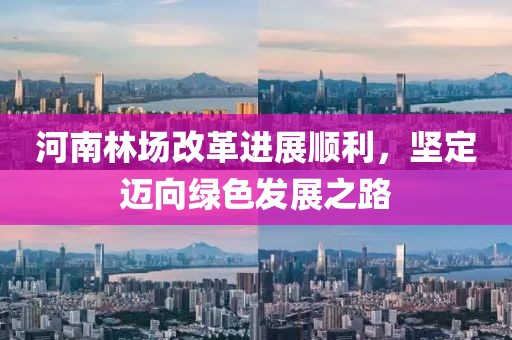 河南林場(chǎng)改革進(jìn)展順利，堅(jiān)定邁向綠色發(fā)展之路
