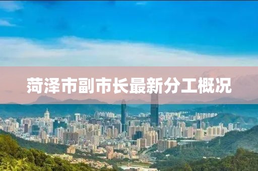菏澤市副市長最新分工概況