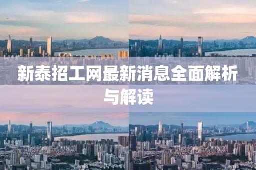 新泰招工網最新消息全面解析與解讀
