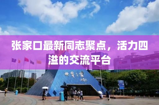 張家口最新同志聚點(diǎn)，活力四溢的交流平臺(tái)