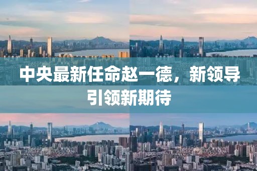 中央最新任命趙一德，新領(lǐng)導(dǎo)引領(lǐng)新期待