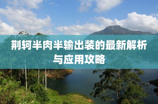 荊軻半肉半輸出裝的最新解析與應(yīng)用攻略