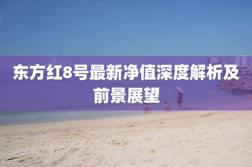 東方紅8號最新凈值深度解析及前景展望
