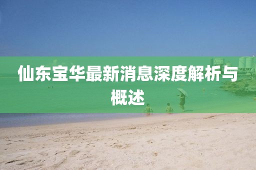 仙東寶華最新消息深度解析與概述