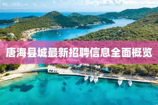 唐?？h城最新招聘信息全面概覽